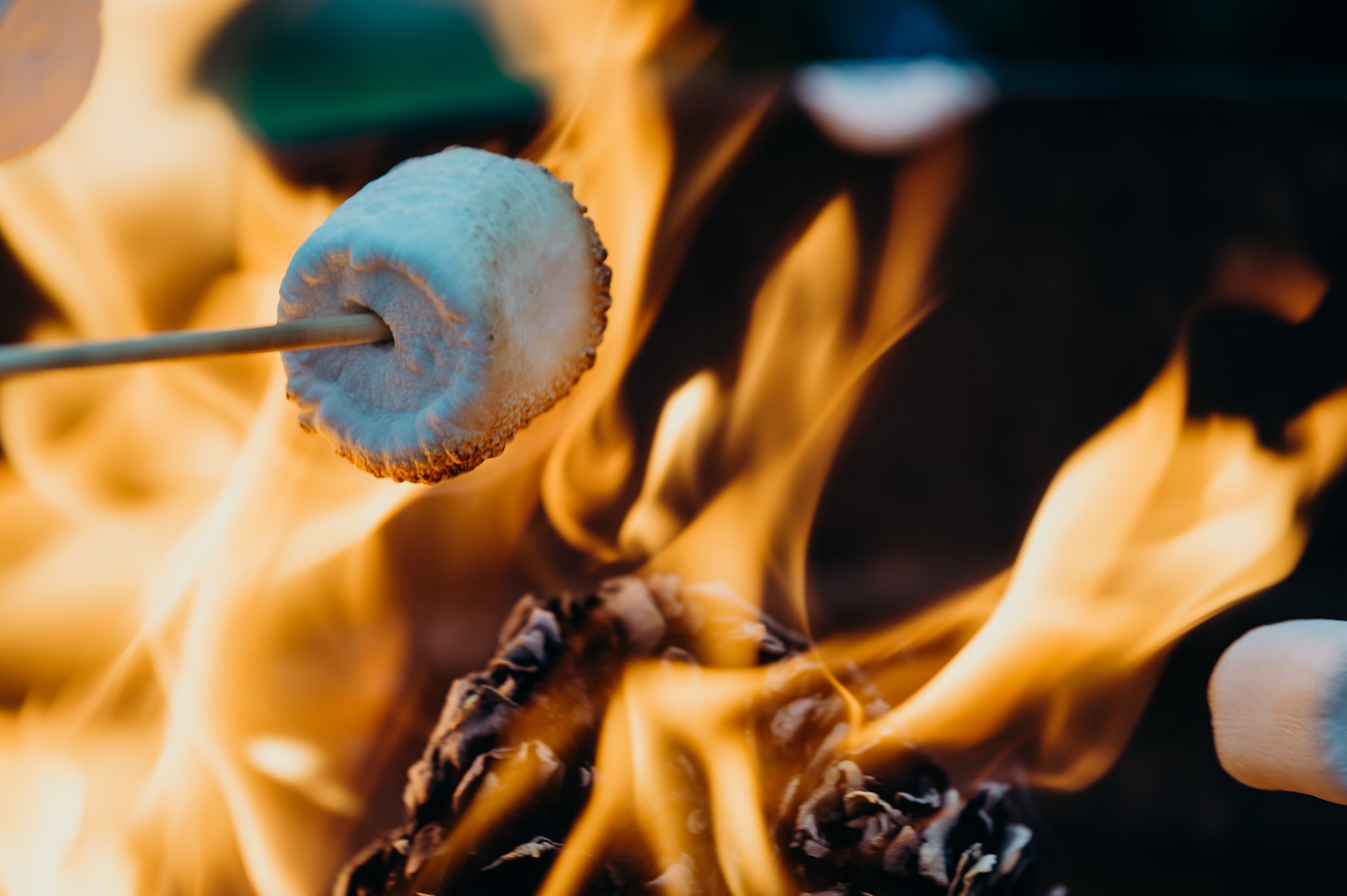 Marshmallows on camp fire